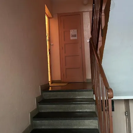 Lyla ディジョン